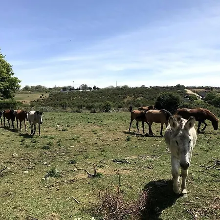 Hotel A Hora De Madrid Herradon de Pinares