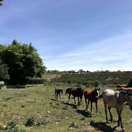 Casa Rural A Una Hora De Madrid * Herradon de Pinares